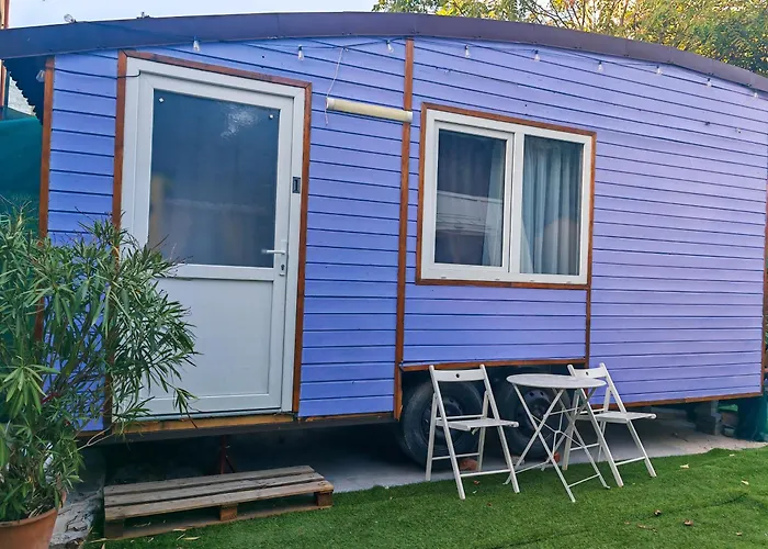 Pura Vida Downtown Tiny 3*