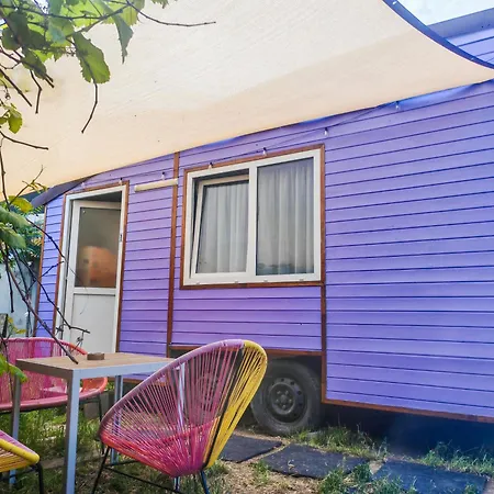 Pura Vida Downtown Tiny