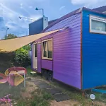 Pura Vida Downtown Tiny 3* 부쿠레슈티