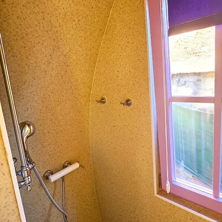 招待所 Pura Vida Downtown Tiny 3*