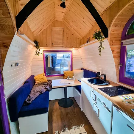 ゲストハウス Pura Vida Downtown Tiny 3*