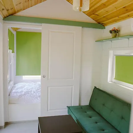 Pura Vida Downtown Tiny