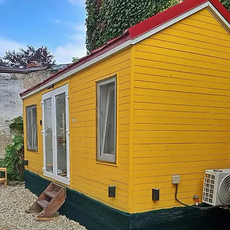 Pura Vida Downtown Tiny 3*