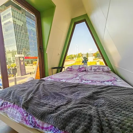 ゲストハウス Pura Vida Downtown Tiny 3*