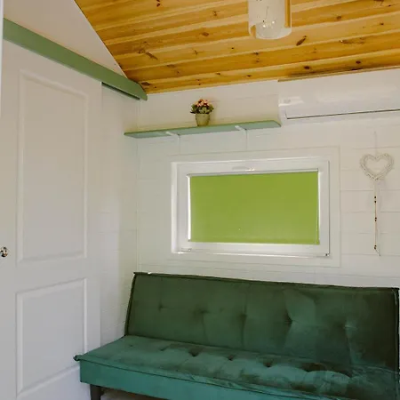 Pura Vida Downtown Tiny