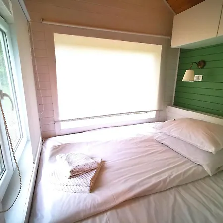 招待所 Pura Vida Downtown Tiny