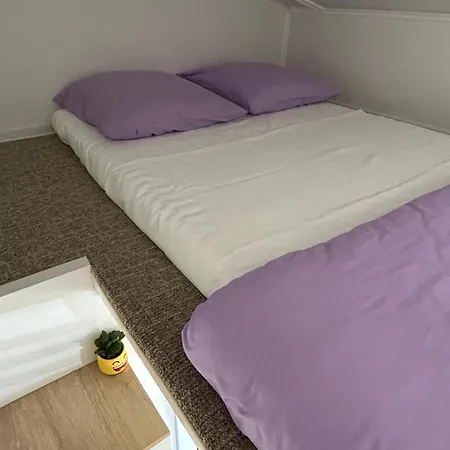 Pura Vida Downtown Tiny بيت ضيافة