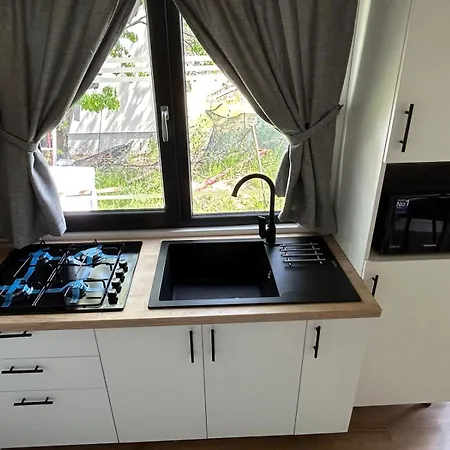 ゲストハウス Pura Vida Downtown Tiny