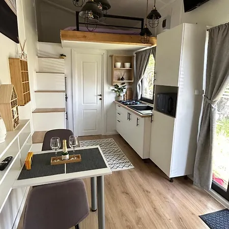 Pura Vida Downtown Tiny بوخارست