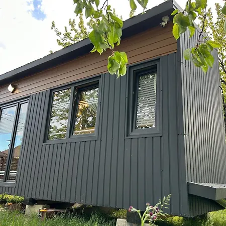 Pura Vida Downtown Tiny 3* 布加勒斯特