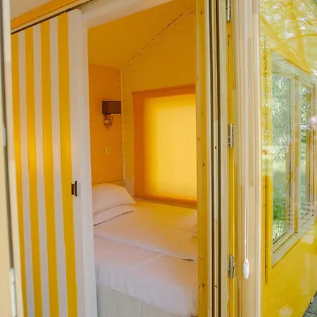 Pura Vida Downtown Tiny