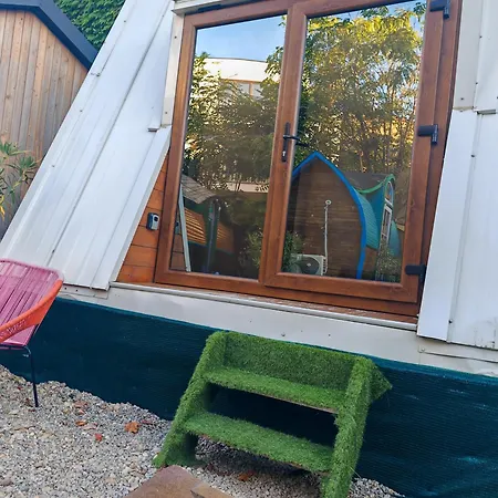 ゲストハウス Pura Vida Downtown Tiny