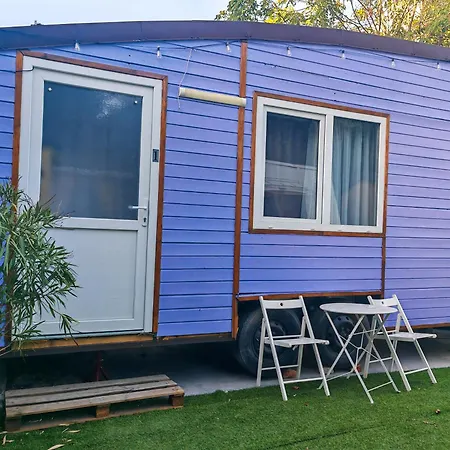 Pura Vida Downtown Tiny 3*