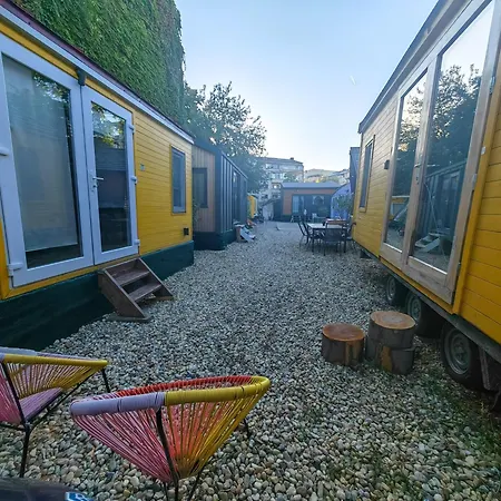 Pura Vida Downtown Tiny 3*