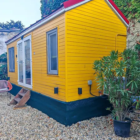 ゲストハウス Pura Vida Downtown Tiny ブカレスト