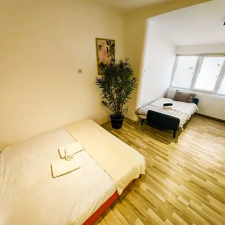 Pura Vida Downtown Tiny 3*