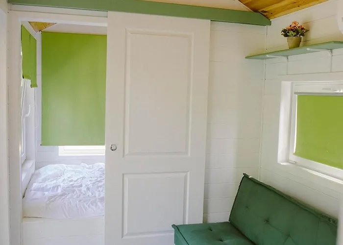 Pura Vida Downtown Tiny