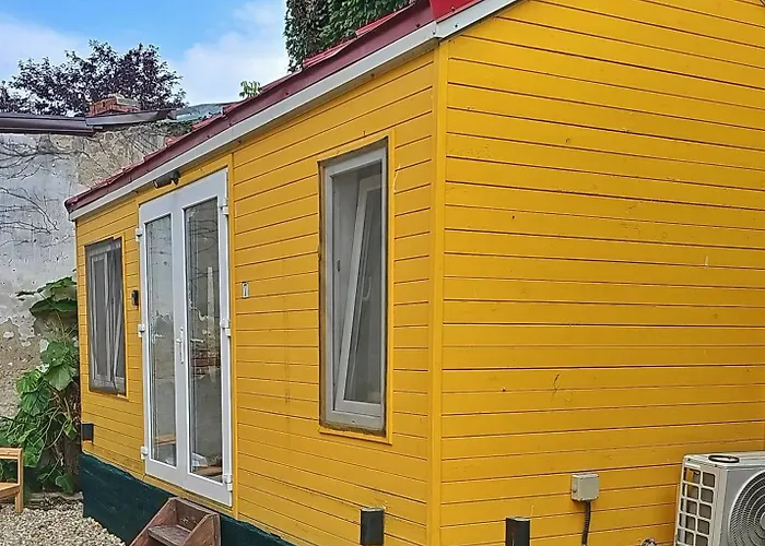 Pura Vida Downtown Tiny 3*