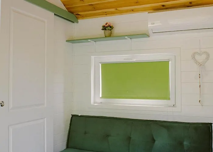 Pura Vida Downtown Tiny