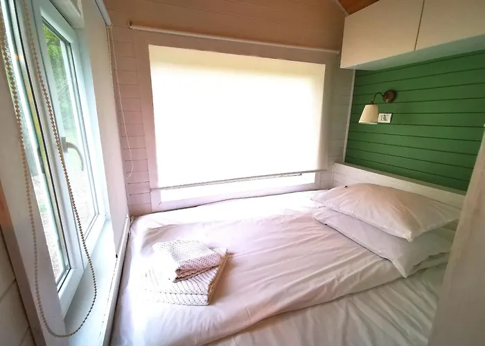 Guest house Pura Vida Downtown Tiny