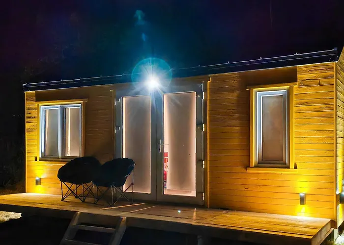 Pura Vida Downtown Tiny