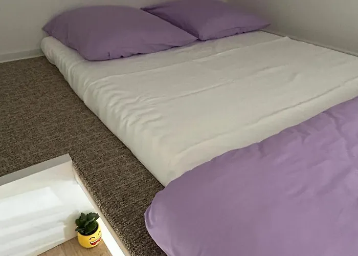 Pura Vida Downtown Tiny Gæstehus