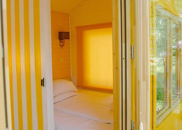 Pura Vida Downtown Tiny