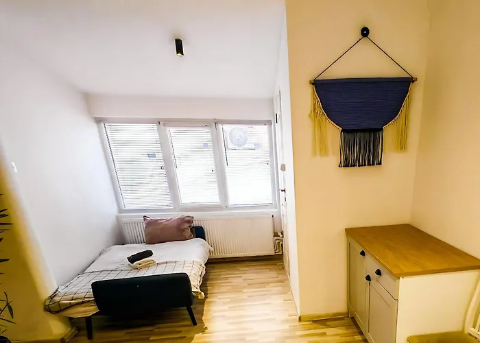 Pura Vida Downtown Tiny Gæstehus Bukarest