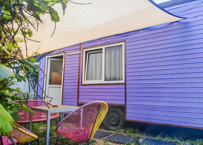 Pura Vida Downtown Tiny