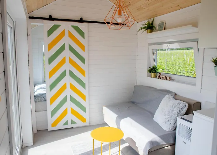 Pura Vida Downtown Tiny